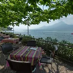 Sirenella